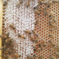 Cinnamon Honey