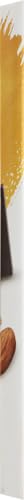 Theo Salted Almond Organic Dark Chocolate Bar, 70% Cacao, 1 Bar | Vegan, Fair Trade