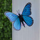 Stickerpop™: Blue Morpho Butterfly (1-Pack), Stickers