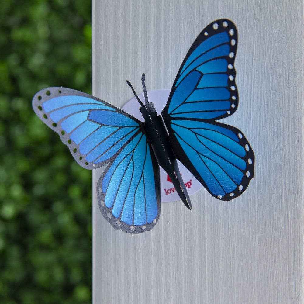 Stickerpop™: Blue Morpho Butterfly (1-Pack), Stickers