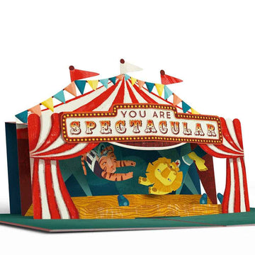 Congrats, You Are Spectacular 5''x7'' Card, Pop-Up Cards