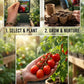 BEST VALUE: 100,000 Vegetable Heirloom Seed Vault. 100 Seed Packets