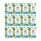 Organic Moringa Tea - Original - Caffeine-Free Herbal Tea