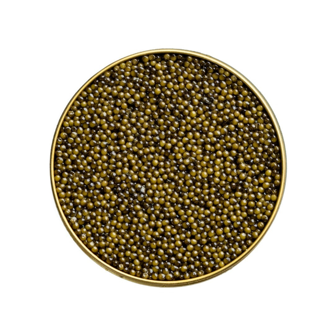 Osetra Reserve 1 kg (35.3 oz)