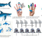 61 Piece Shark Party Kit (ideal for a larger party)