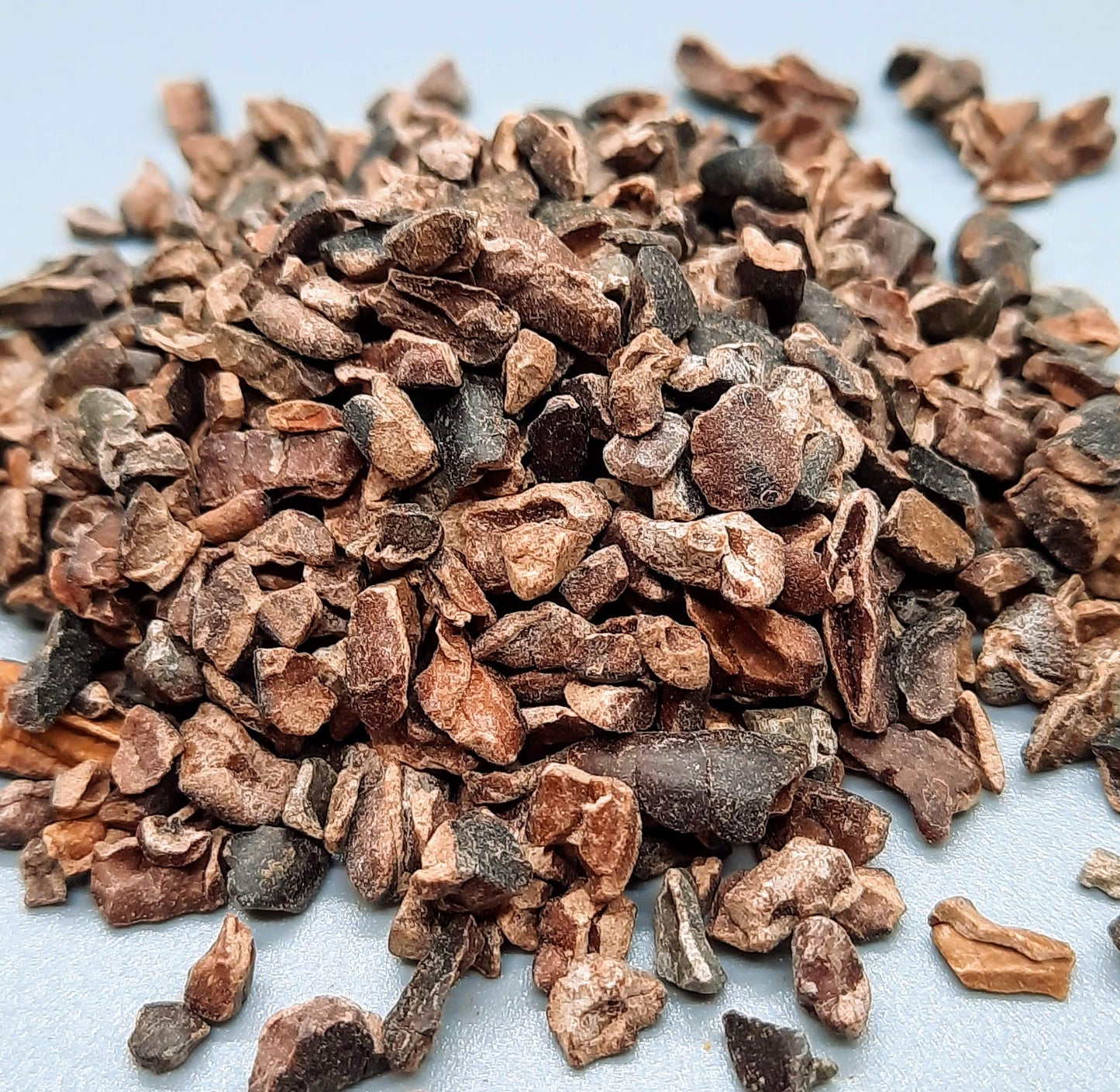 NEW Dark Chocolate Alegria Bites w/ Blueberries + Cacao Nibs