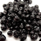 NEW Dark Chocolate Alegria Bites w/ Blueberries + Cacao Nibs