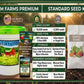 20 Vegetable Seed Packets- Survival Seed Vault, 10,000+ Seeds