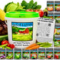 20 Vegetable Seed Packets- Survival Seed Vault, 10,000+ Seeds