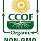 Indus Organics Ceylon Cinnamon Powder, Refill Bag, 1 Lb, Premium Grade, High Purity, Freshly Packed