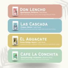 Canopy Point Coffee | Ground Coffee Sample Pack | Gourmet Coffee Sampler | Single Origin Coffee Gift Set | Sampler Gift Box Set