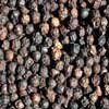 Indus Organics Malabar Black Peppercorns Grinder, Premium Grade, 8 Oz Jar, Freshly Packed, High Purity