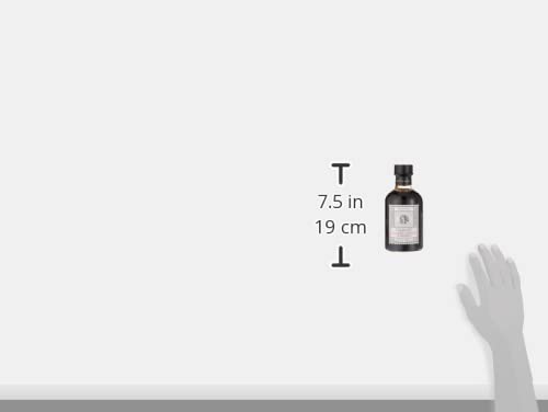 Cucina & Amore Balsamic Vinegar Of Modena - 16.9 Fl Oz