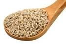 Sunflower Seeds, 5 Pounds Raw, Hulled, Unsalted, No Salt, Usda Certified Organic, Non-Gmo Bulk, Product Of Usa, Mulberry Lane Fa