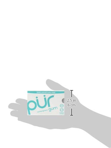 Pur Gum Wintergreen Gum - 1 Pk ( 9 Pieces )
