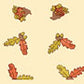 Cello Rolls Various Patterns & Colors