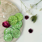 Sparkle Green Luster Dust Dried Decorative Lime Garnish
