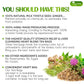 Premium Stomach & Liver Herbal Tea | Milk Thistle Seed, Ginger, Fennel, Peppermint & Licorice