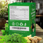Super Moringa Herbal Tea, Improve Digestion, Support Brain, Weight, Skin and Sleep, Eco-Conscious Tea Bags