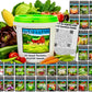 30 Seed Packet Vault: Heirloom, Non-GMO Vegetable Seed Packets