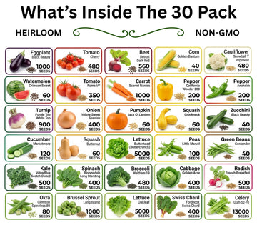 30 Seed Packet Vault: Heirloom, Non-GMO Vegetable Seed Packets