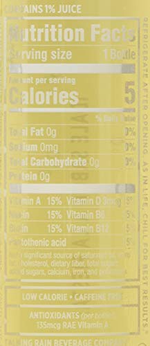 SPARKLING ICE Sparkling Water Plastic Bottle  16571953381  Ginger Lime  17 Ounce