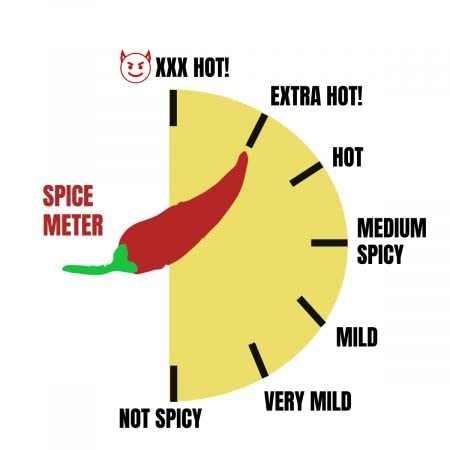 Organic Vindaloo Seasoning-Spicy Indian Masala Mix (8)