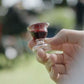 TrueVine Chalice Communion Cups and Wafer Set - Prefilled with Unleavened Bread & G  Juice - 6 Count - Red