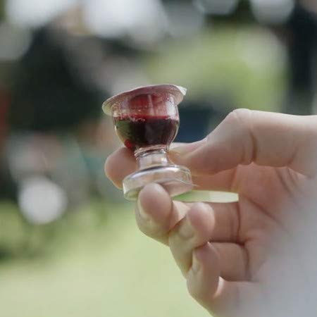 TrueVine Chalice Communion Cups and Wafer Set - Prefilled with Unleavened Bread & G  Juice - 6 Count - Red