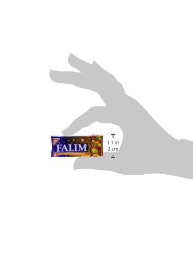 Falim Sugarless Plain Gum, Fruit Mix Flavoured, 20 Pack, 100 Pieces Each