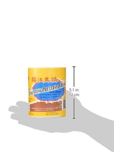 Yang Jiang Preserved Black Beans With Ginger, 1Lb.