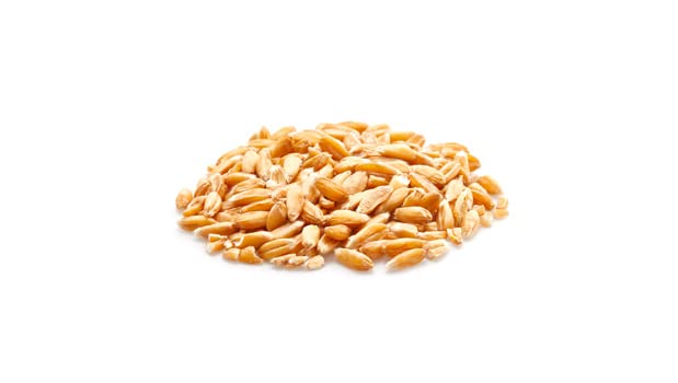 Yupik Organic Spelt Kernels, 2.2 Lb, Non-Gmo, Kosher, Vegan, Raw Hulled Grains, Unsalted, Source Of Fiber, Ideal For Baking & Co