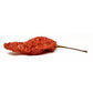Sonoran Spice Ghost Peppers - Oven Dried Red Chili Peppers, 8 Oz