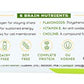 Iqbar Matcha Chai Keto Bars, Vegan, Low Sugar, 1.6 Ounces (Pack Of 12)