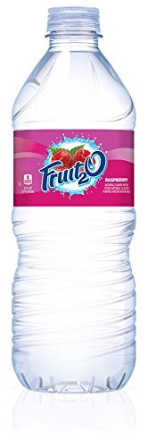 Fruit2O Zero Calorie Flavored Water, Raspberry, 16 Fl Oz (Pack of 4)