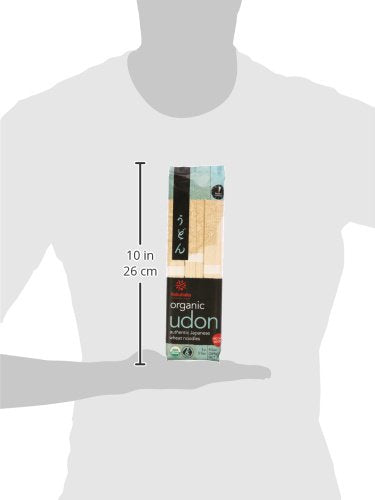 Hakubaku Organic Udon Wheat Noodle (1 x 9.5 OZ)