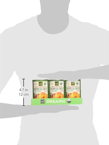 Native Forest Organic Tropical Fruit Salad, 14 Ounce Cans (Pack of 6)
