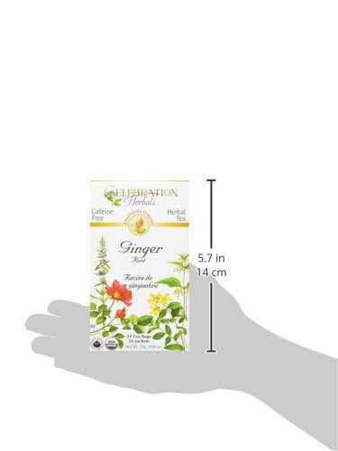 Celebration Herbals Ginger Root Tea Organic 24 Bag, 0.02 Pound