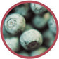 Modern Oats Goji Blueberry Oatmeal, 2.6 Ounce (Pack of 12)