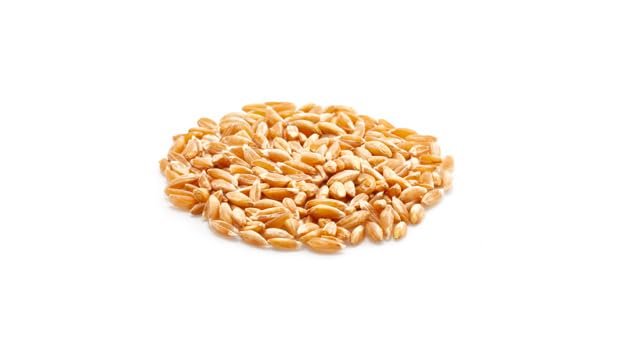 Yupik Organic Farro, 2.2 Lb, Non-Gmo, Vegan, Kosher