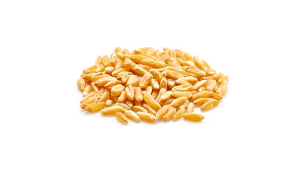 Yupik Organic Kamut Grains, 2.2 Lb, Non-Gmo, Vegan, Kosher, Raw Whole Grains, Khorasan Wheat, Nutty Flavor, Source Of Fiber & Ir