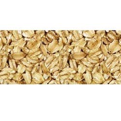 Grain Millers Bg13908 Grain Millers Oats Regular Rolled - 1X5Lb
