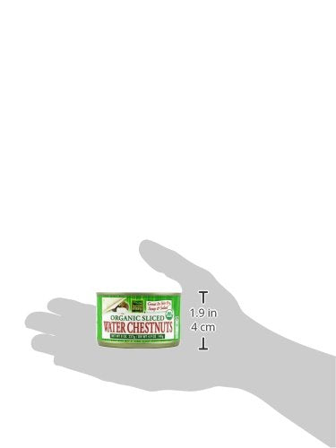 Native Forest Organic Sliced Water Chestnuts, 8 Ounce Cans (Pack of 6)