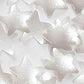 Edible Glitter .04Oz-Silver Stars