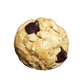 simplyFUEL Whole Food Protein Balls with Probiotics - Chocolate Chip Cookie Dough Snacks - Protein Snack - Gluten Free Energy Balls (24 Packs)