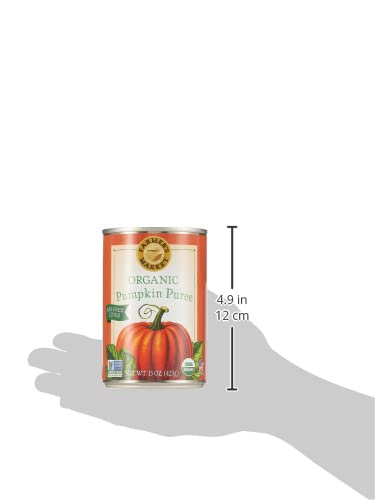 Farmers Market Foods Pumpkin Org, 15 Ounce (Pack Of 12)