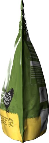 Applegate, Chicken & Maple Breakfast Sausage Patties, 16 oz
