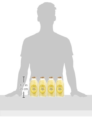 Harney & Sons Juice  Organic Lemonade  16 Ounce (Pack of 12)