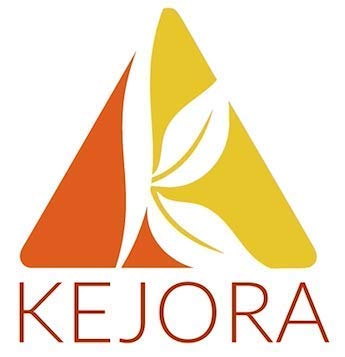 Kejora Fresh Lemons - 4 Lbs