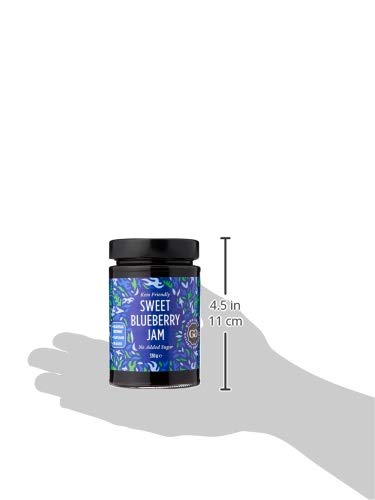 GOOD GOOD No Added Sugar Blueberry Jam - Keto Friendly Jelly - Low Carb, Low-Calorie and Vegan - Diabetic Friendly - 12oz / 330g